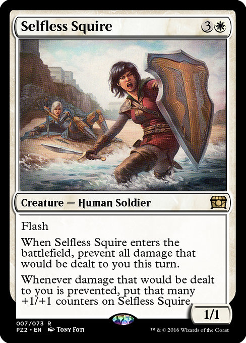 Selfless Squire