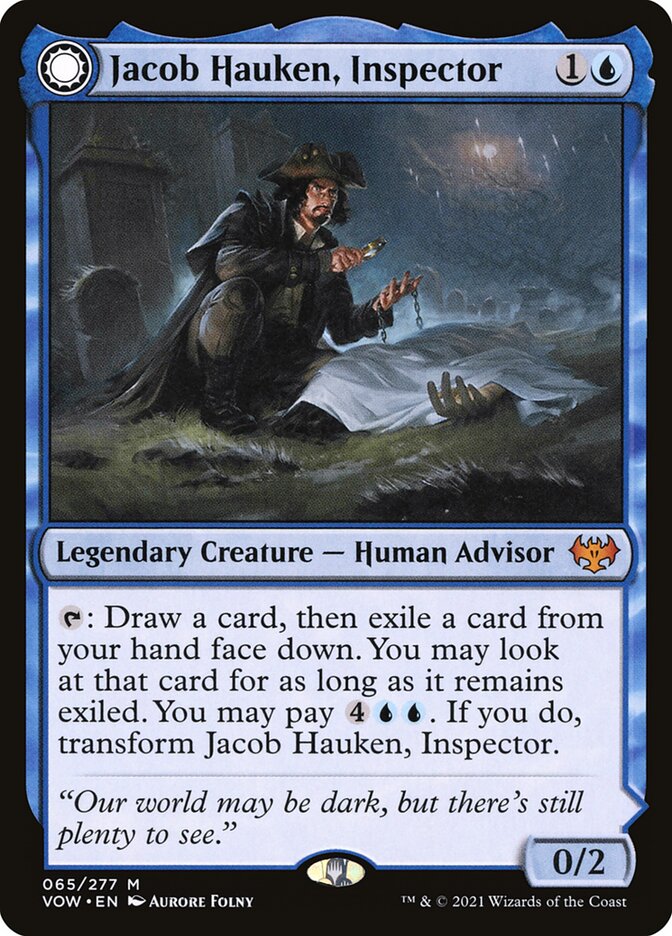 Jacob Hauken, Inspector