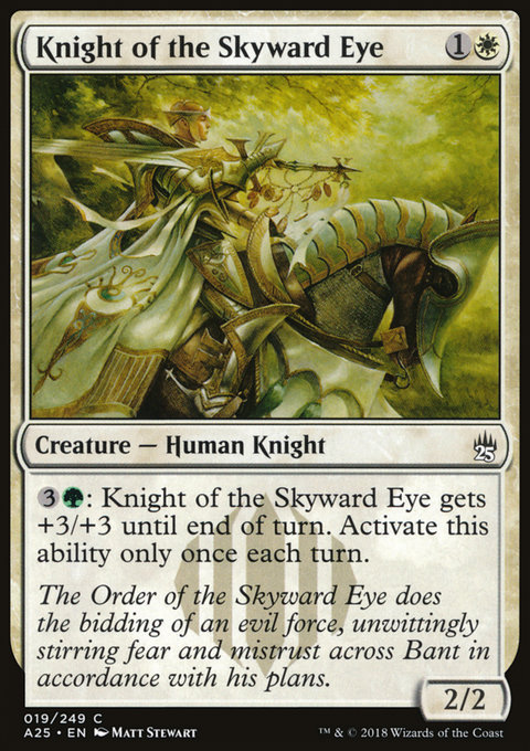 Knight of the Skyward Eye