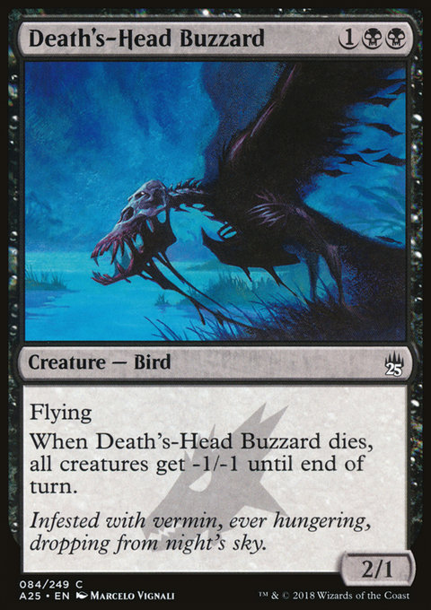 Death's-Head Buzzard