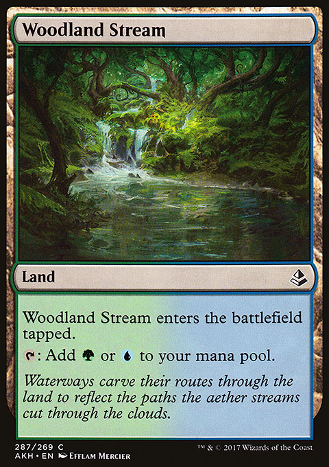 Woodland Stream