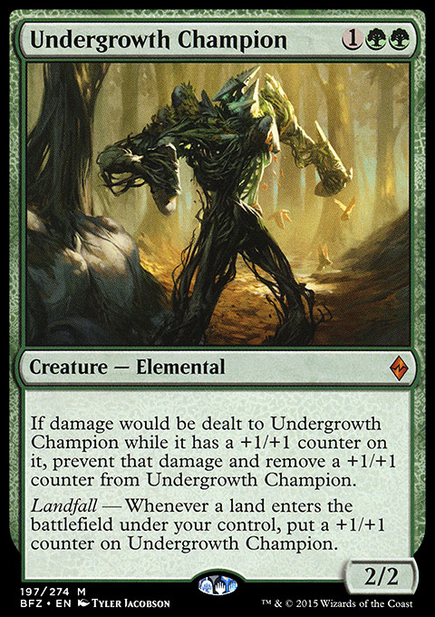 Undergrowth Champion