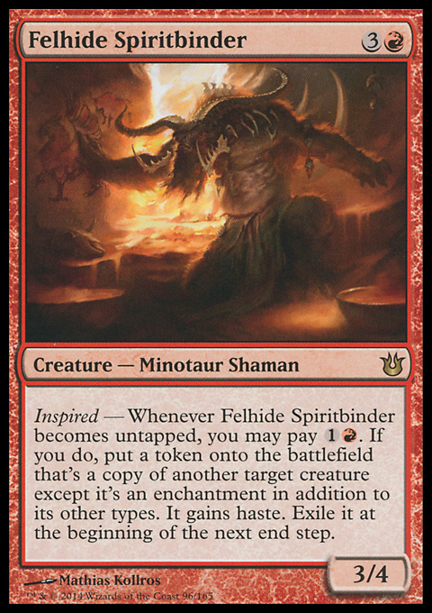 Felhide Spiritbinder