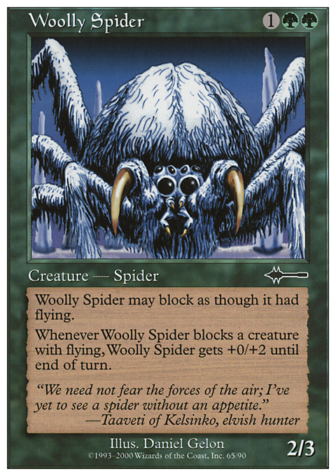 Woolly Spider