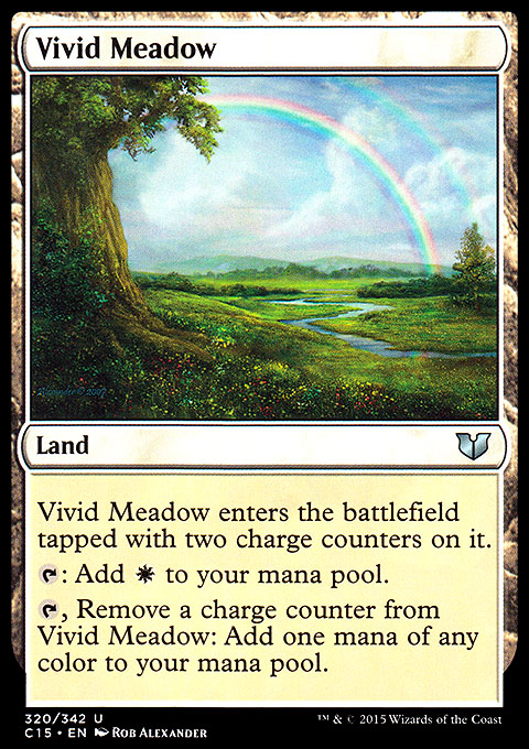 Vivid Meadow