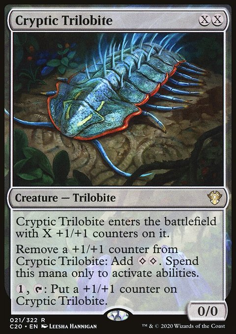 Cryptic Trilobite