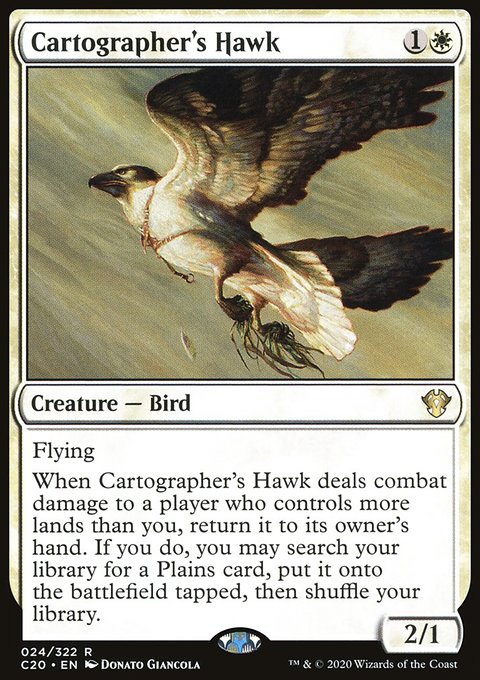 Cartographer's Hawk