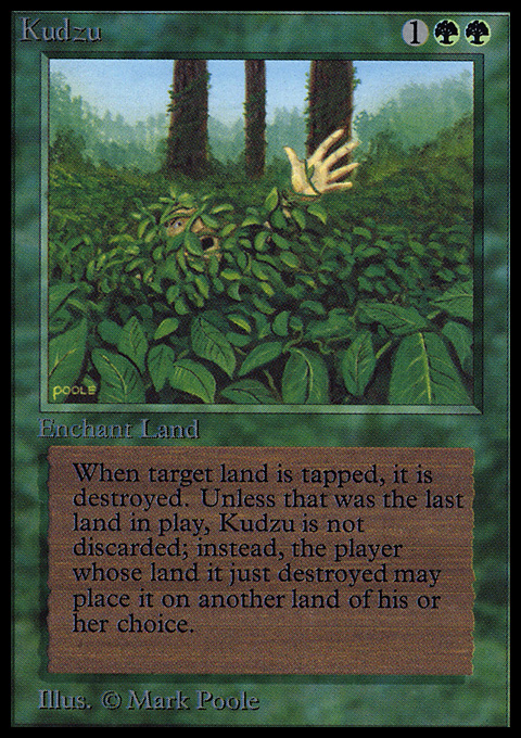 Kudzu