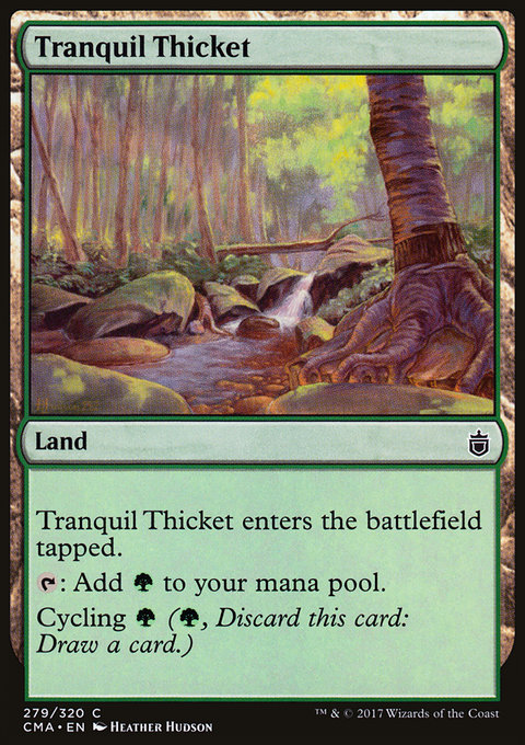 Tranquil Thicket