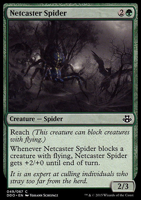 Netcaster Spider