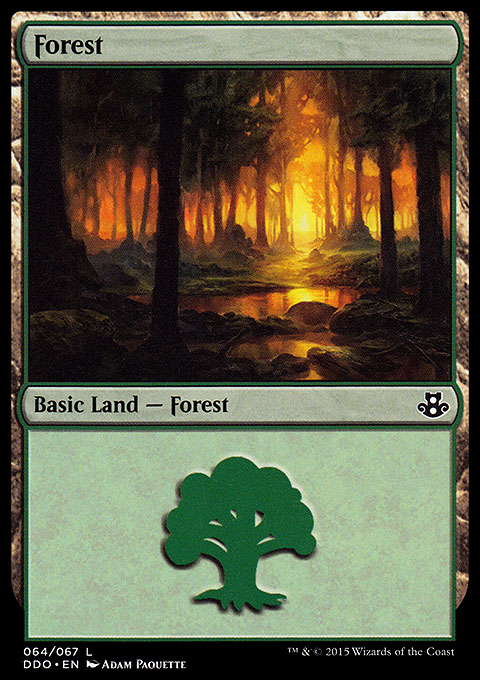 Forest