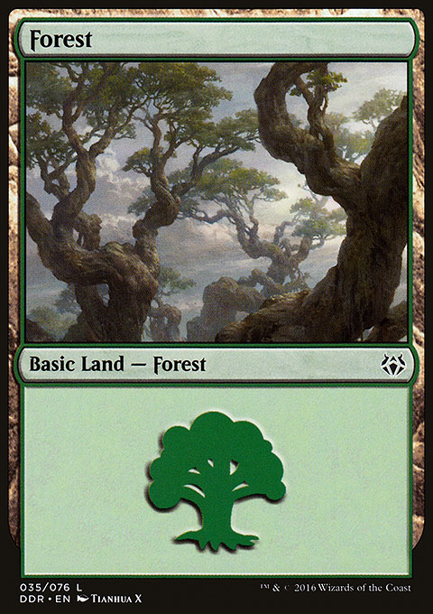 Forest
