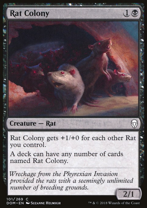 Rat Colony