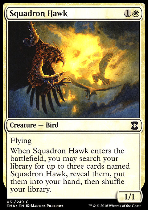 Squadron Hawk