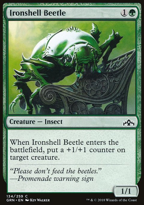 Ironshell Beetle