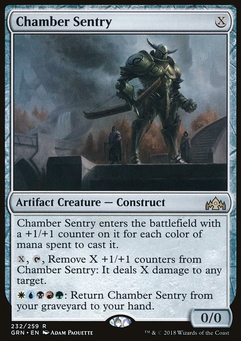 Chamber Sentry