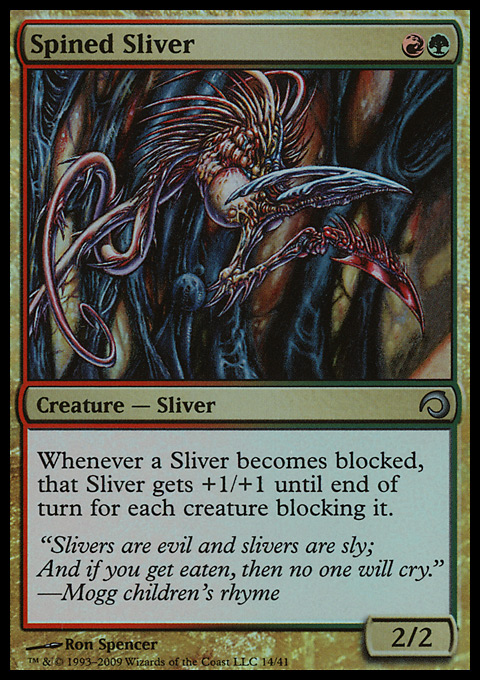 Spined Sliver