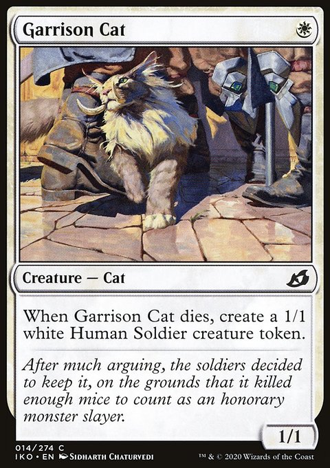 Garrison Cat