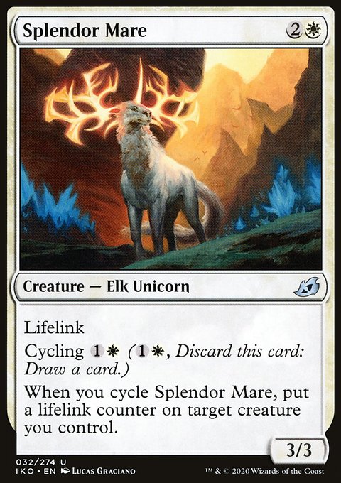 Splendor Mare