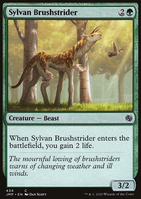 Sylvan Brushstrider