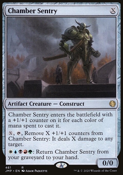 Chamber Sentry