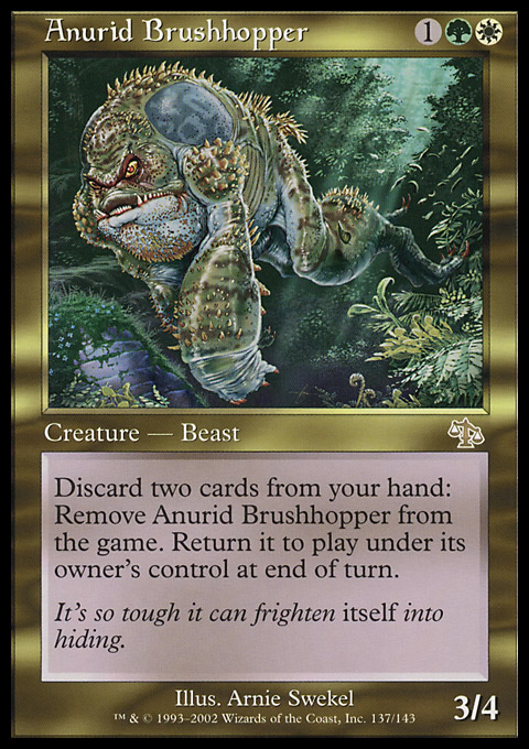 Anurid Brushhopper