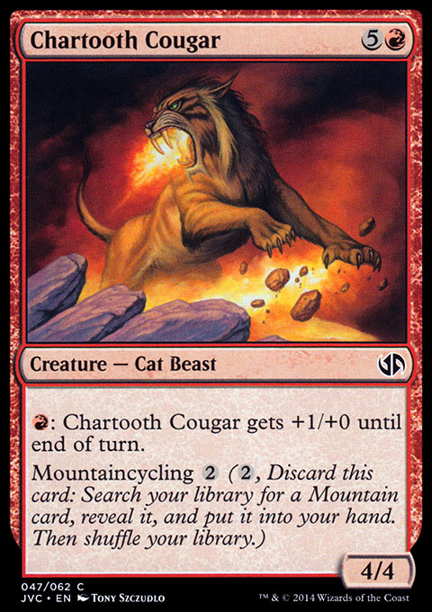 Chartooth Cougar