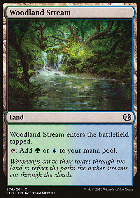 Woodland Stream