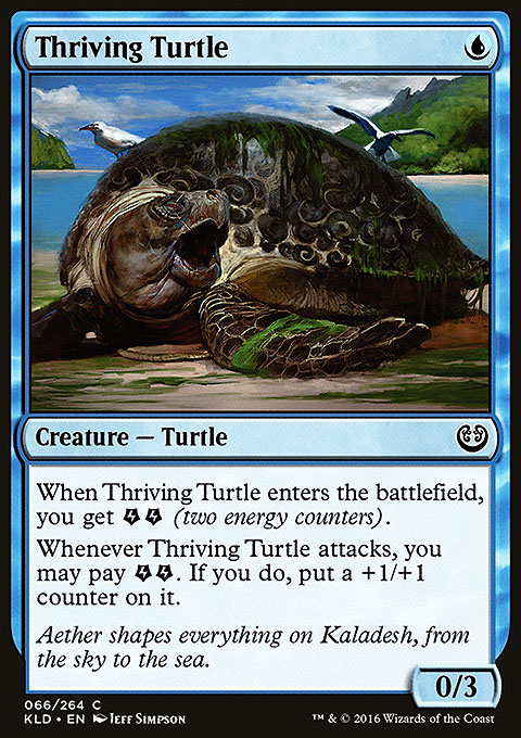 Thriving Turtle