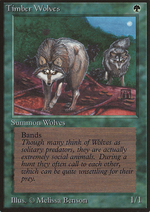 Timber Wolves