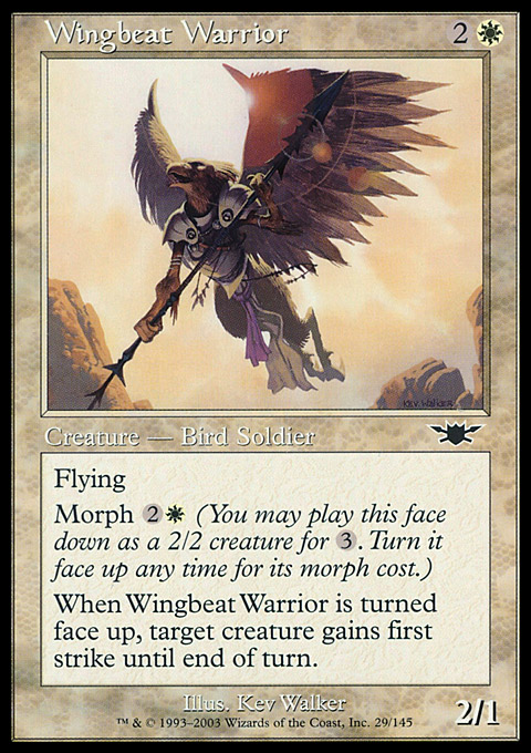 Wingbeat Warrior