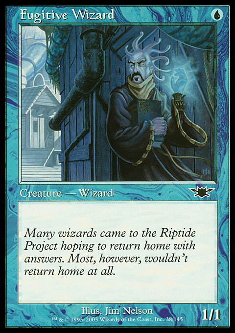 Fugitive Wizard