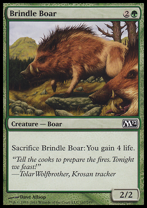 Brindle Boar