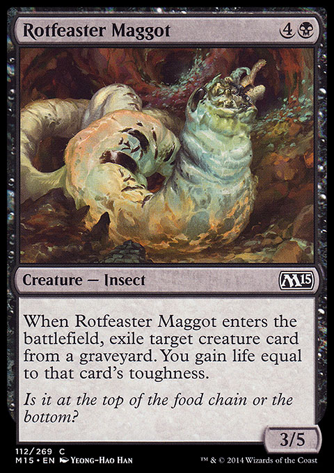 Rotfeaster Maggot