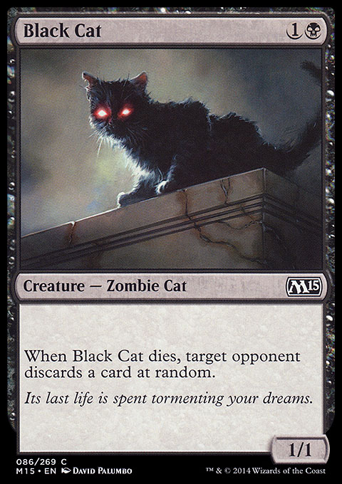 Black Cat