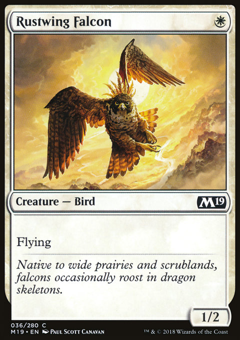 Rustwing Falcon