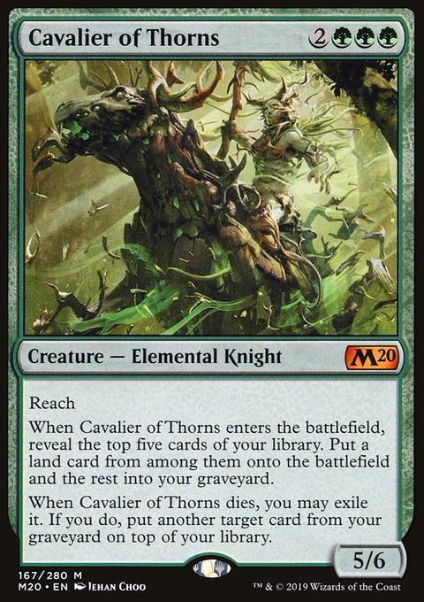 Cavalier of Thorns