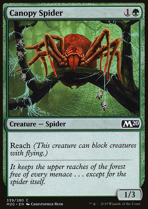 Canopy Spider