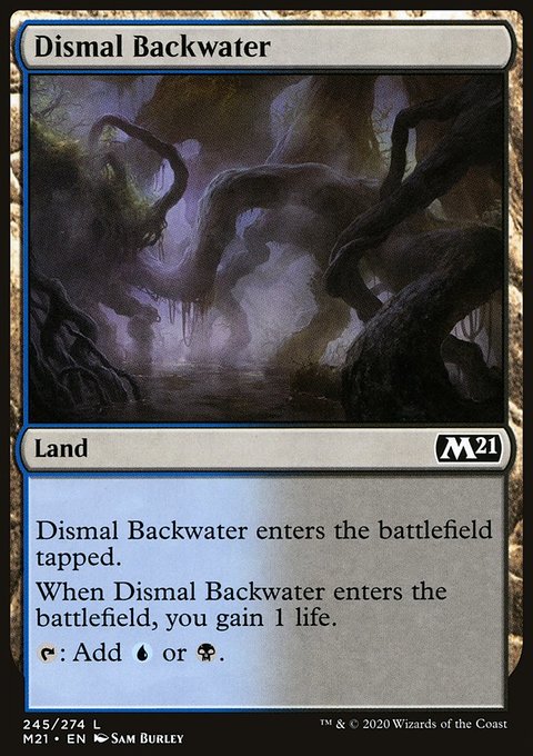 Dismal Backwater