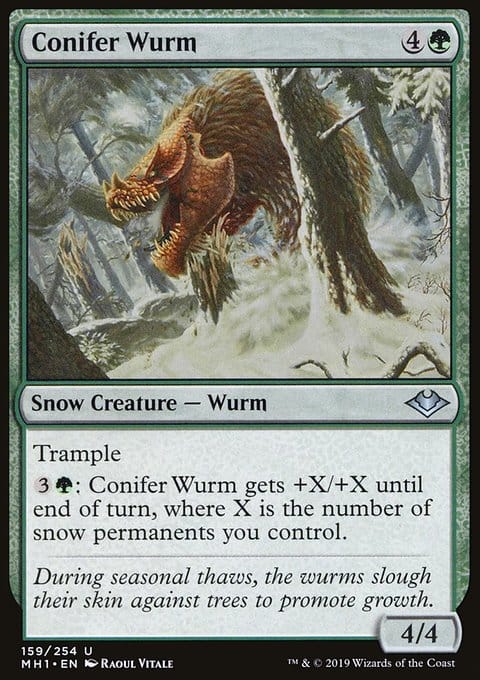 Conifer Wurm