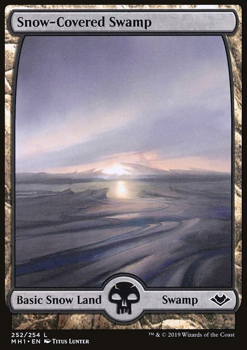 Snow-Covered Swamp