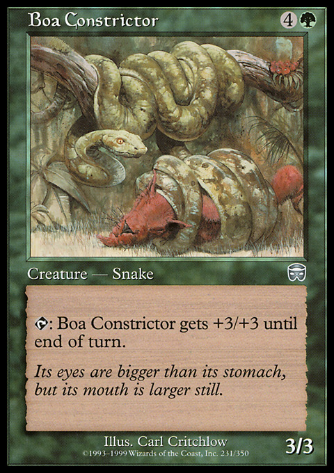 Boa Constrictor