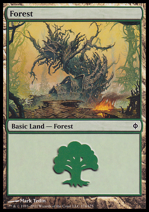 Forest