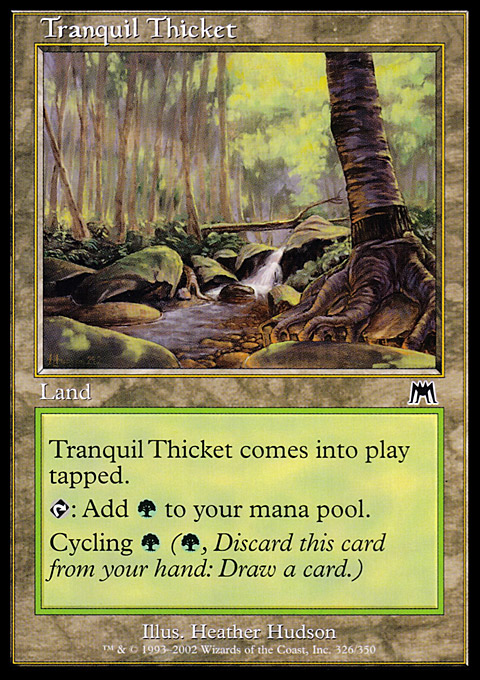 Tranquil Thicket