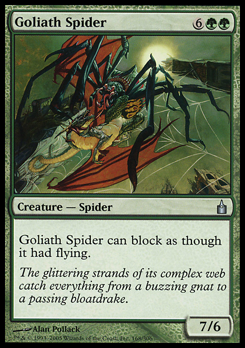 Goliath Spider