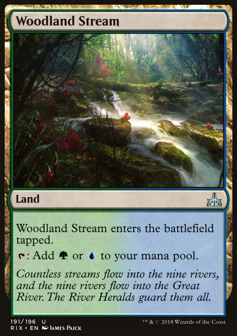 Woodland Stream