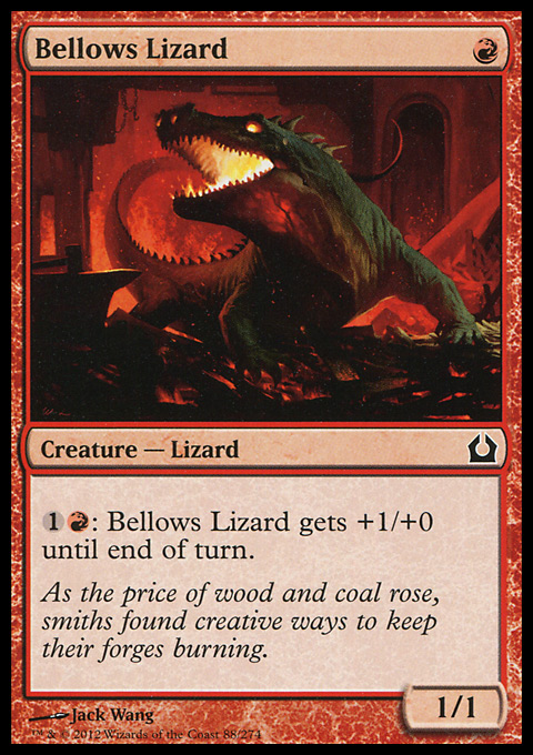 Bellows Lizard