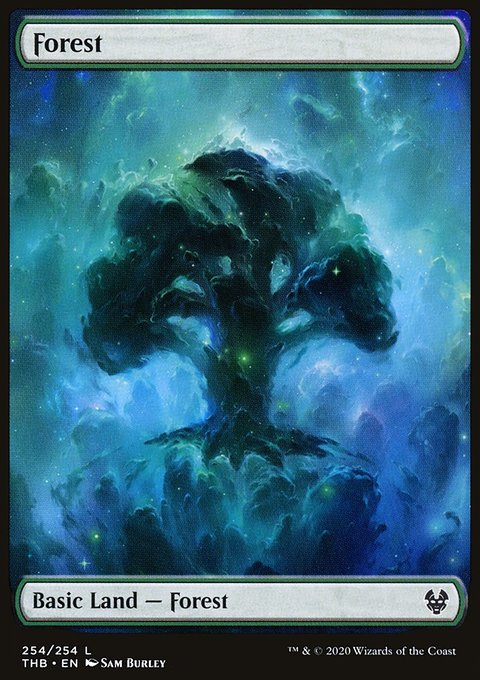 Forest