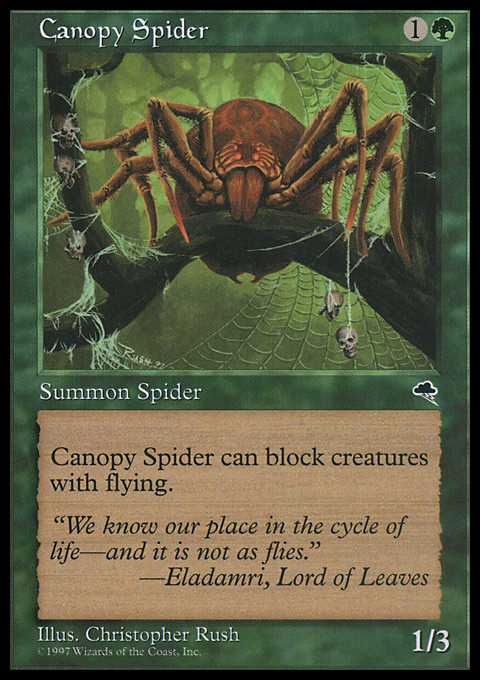 Canopy Spider