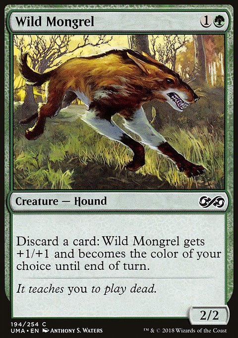 Wild Mongrel